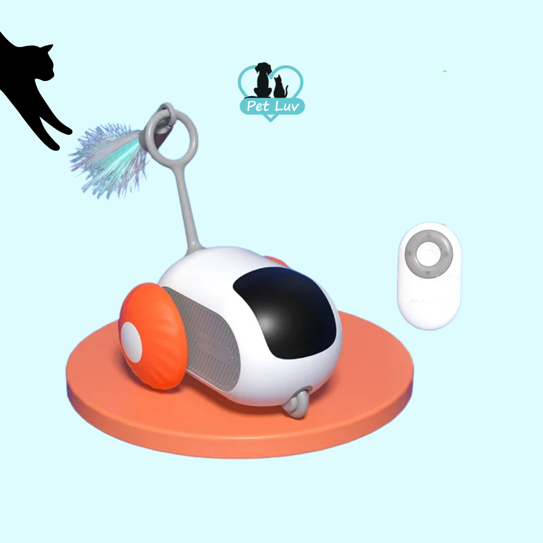 Cyber Mouse - Interactive Cat Toy (best for indoor cats)
