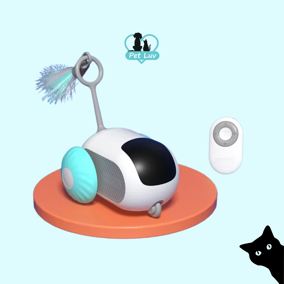 Cyber Mouse - Interactive Cat Toy (best for indoor cats)
