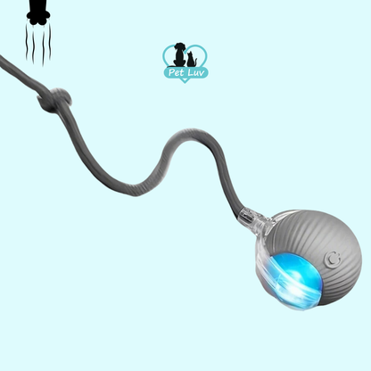 Rolling Fury -  Interactive Cat Ball (best for indoor cats)