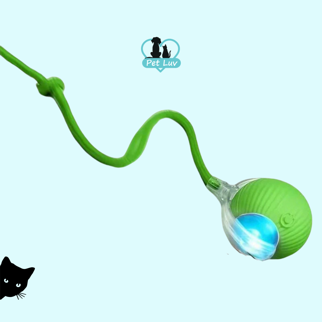 Rolling Fury -  Interactive Cat Ball (best for indoor cats)