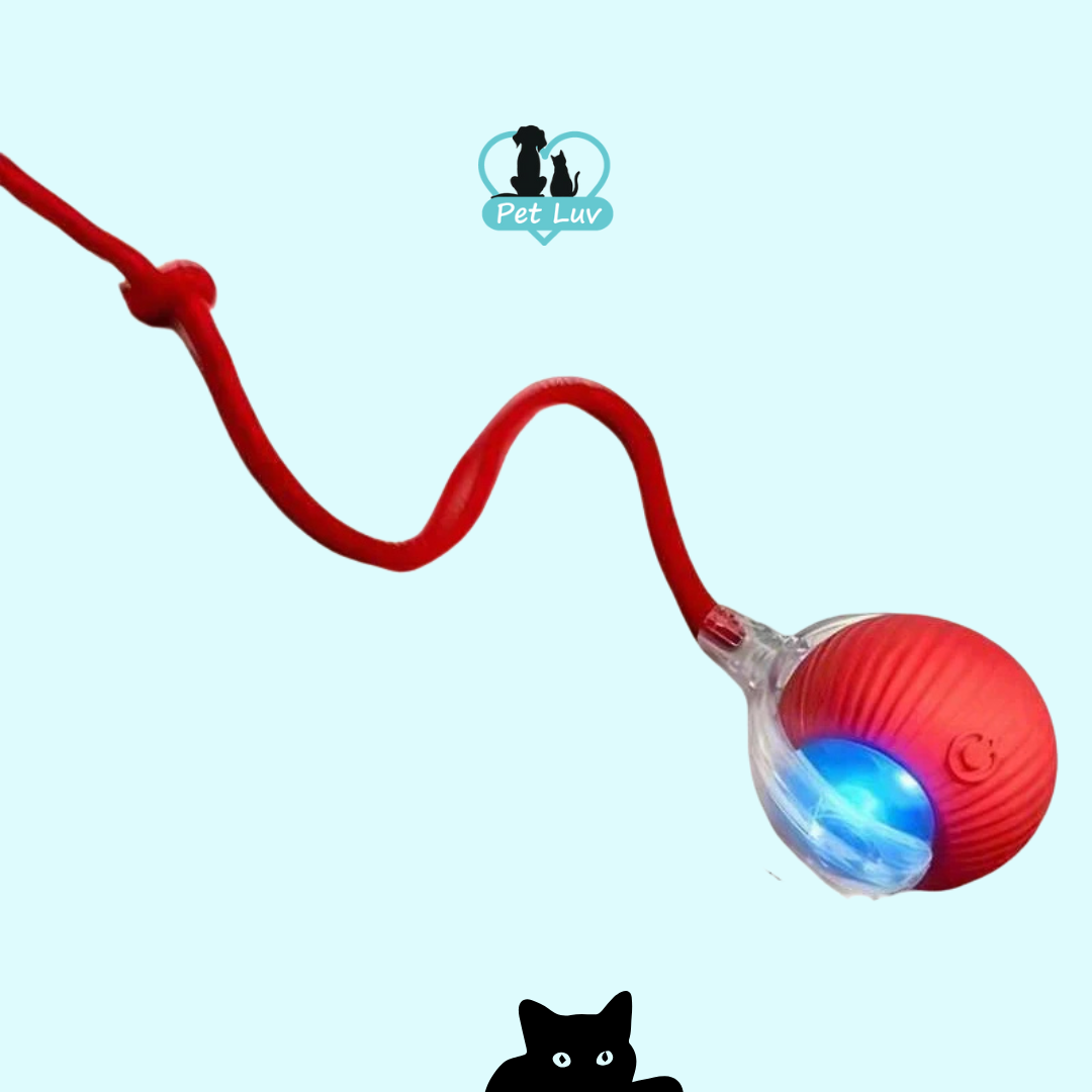 Rolling Fury -  Interactive Cat Ball (best for indoor cats)