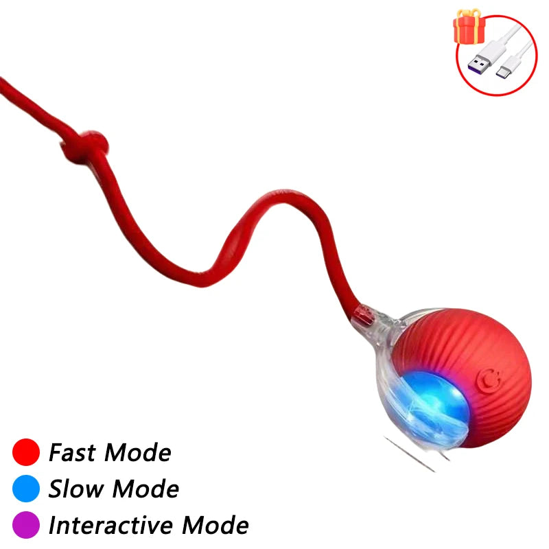 Rolling Fury -  Interactive Cat Ball (best for indoor cats)